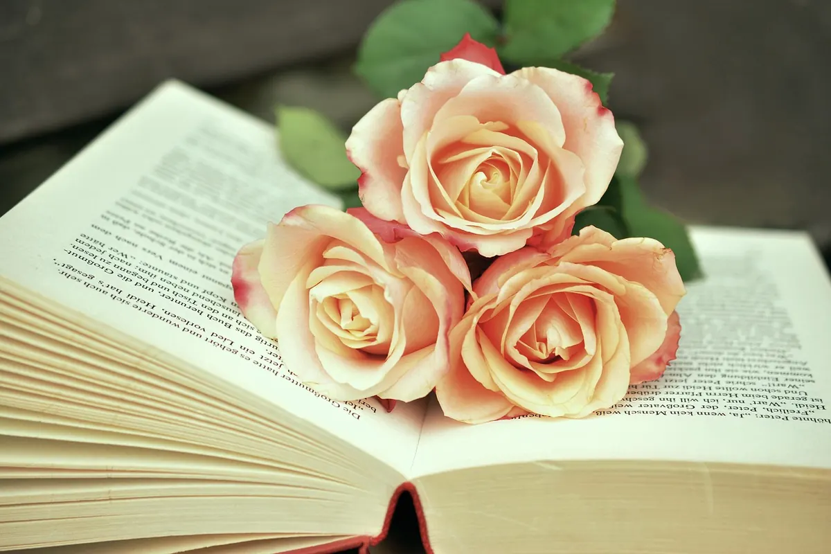 The Beginner's Guide to British Literary Festivals: What to Expect and How to Prepare